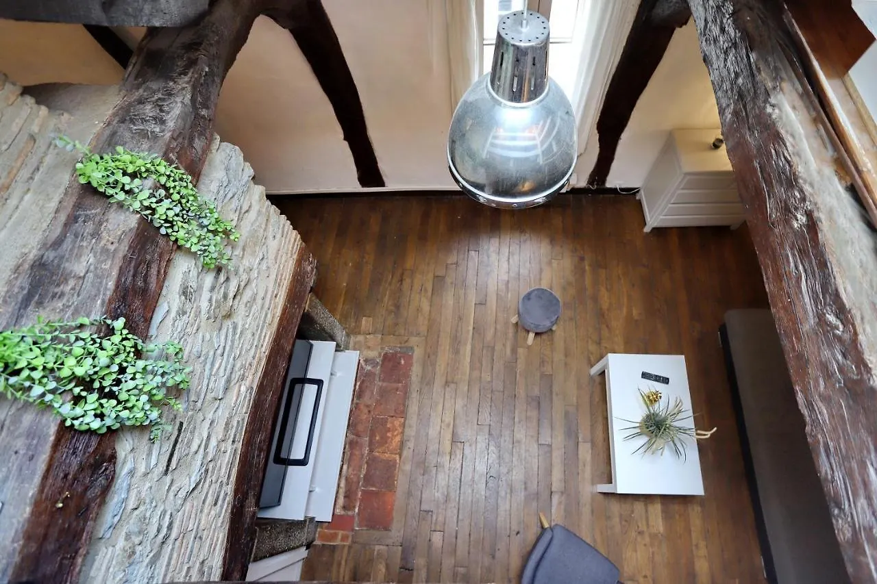 Le Petit Louis - Appt En Plein Centre Appartement Rennes 0*,  Frankrijk
